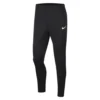 Nike Park 20 Pant